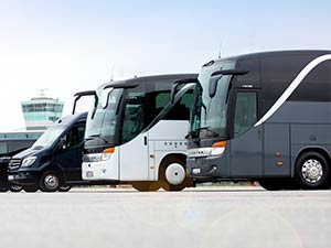 busse, sprinter, vip-liner, business-liner